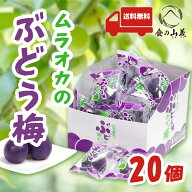 ムラオカ ぶどう味 かりかり梅 カリカリ梅 梅菓子 駄菓子 個包装 甘酸っぱい ぶどう風味 梅おやつ 人気 …