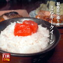 福島県中通り産 ミルキークイーン 白米 5kg 令和6年産 米 お米【送料無料】※一部地域を除く ※沖縄県配送不可