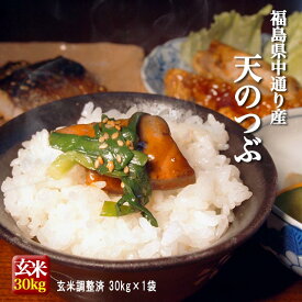 【4月限定価格】福島県中通り産 天のつぶ 玄米 30kg(白米 約27kg) 令和7年産 米 お米【精米無料・送料無料】※一部地域を除く ※沖縄県・離島配送不可