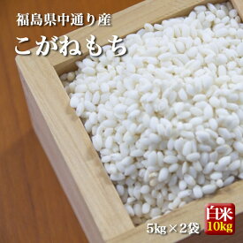 もち米 福島県中通り産 こがねもち 白米:10kg(5kg×2個) 令和5年産【送料無料】※一部地域を除く