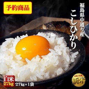 y\z10{珇 V ʂY RVqJ  30kg( 27kg) ߘa7NY  āyĖEzꕔn ꌧEzs