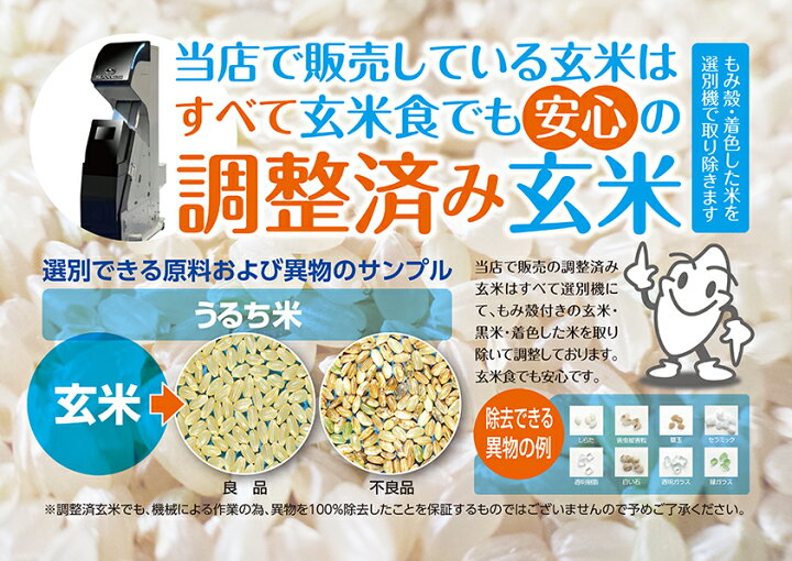 楽天市場】福島県中通り産 コシヒカリ 玄米 30kg(白米 約27kg) 令和6  