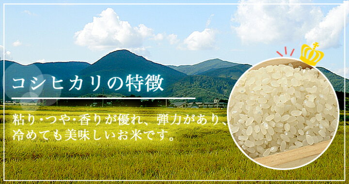 楽天市場】【4月限定価格】福島県中通り産 コシヒカリ 玄米 30kg(白米 