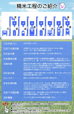 精米ライン