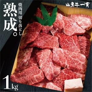 y^Ⓚznˋ RE ēp ʂ܂ 1kg  Hה o[xL[ BBQ A4/A5 󂠂 s낢 a X   ① n Mtg a җ p u