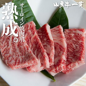 熟成飛騨牛 山勇牛 サーロイン 焼肉 300g A4/A5 飛騨牛 和牛 メス牛 雌牛 牛肉 冷蔵 熟成肉 熨斗 外のし お誕生日 還暦 贈答用 ブランド牛 山勇畜産 肉ギフト 稀少部位 お中元 御中元 [R]