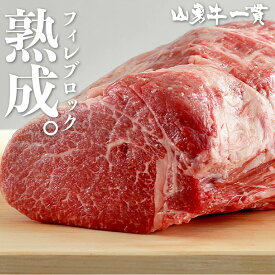 熟成飛騨牛 山勇牛フィレブロック 500g フィレ ヒレ ブロック肉 A4/A5 飛騨牛 和牛 メス牛 雌牛 牛肉 冷蔵 熟成肉 熨斗対応 父の日ギフト お誕生日 還暦 贈答用 ブランド牛 山勇畜産 肉ギフト 熨斗 外のし 稀少部位 [R]