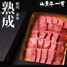 【真空冷凍発送】熟成めす飛騨牛 【山勇牛】 焼肉用　赤身 300g 500g　送料無料 A4/A5