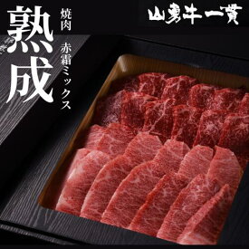 【真空冷凍発送】熟成めす飛騨牛 【山勇牛】 焼肉用　赤霜ミックス 300g 500g　送料無料 A4/A5