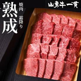 【真空冷凍発送】熟成めす飛騨牛 【山勇牛】 焼肉用　霜降り 300g 500g　送料無料 A4/A5