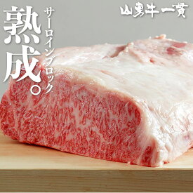 熟成飛騨牛 山勇牛 サーロインブロック 500g ブロック肉 ステーキ 焼肉 グルメ A4/A5 飛騨牛 和牛 メス牛 雌牛 牛肉 冷蔵 熟成肉 熨斗 外のし お誕生日 還暦 贈答用 ブランド牛 山勇畜産 熨斗 外のし 稀少部位 バーベキュー