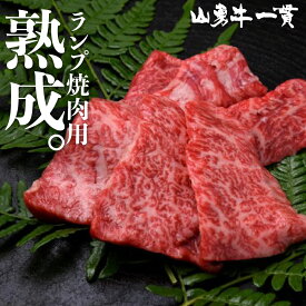 熟成飛騨牛 山勇牛 ランプ焼肉用 500g ランプ もも肉 赤身 焼肉 バーベキュー A4/A5 飛騨牛 和牛 メス牛 雌牛 牛肉 冷蔵 熟成肉 熨斗対応 父の日ギフト お誕生日 還暦 贈答用 ブランド牛 山勇畜産 肉ギフト 熨斗 外のし 稀少部位 お中元 御中元 [R]