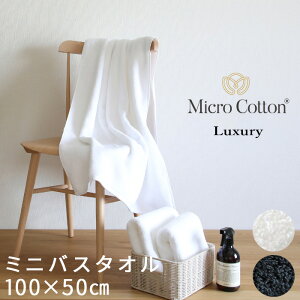 TtI }CNRbg y OWA[ ~joX^I z 100×50cm ^I oX^I  ӂ Q̋z  R[} zCg/ubN zeCN  S S