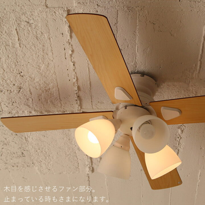 楽天市場】マラソン開催中 plusmore 【 シーリングファンライト 