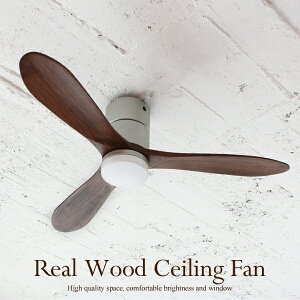 TtI y Modern Collection LEDV[Ot@ z JE-CF004M JAVALO ELF Rt AEbh VR 6 LEDCg i` _ zCg Vo[  CeA V[O