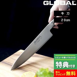 TtI GLOBAL y  20cm G-2 z O[o  \  ̌^ nn20cm n Ep Lb` I[ XeX uf oiWE|  lC G-2 gcH