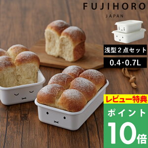 特典付き! 富士ホーロー 【 ミッフィーフェイスシリーズ 浅型角容器2点セット 】 Sサイズ Mサイズ 2点セット セット 保存容器 角型 浅型 フタ付 密閉 下ごしらえ ミッフィー ホーロー 琺瑯
