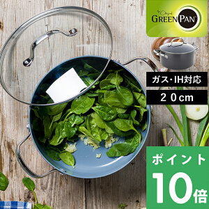 TtI GREENPAN y FjX v LZ[ 20cm Wt z O[p LZ[  20cm S S łtȂ łth~ IH IHΉ KX p HΉ  PFOAt[ L