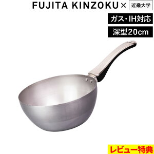 TtI c y StCp F.{ [^ z Gt Gthbg GthbgvX ߋEw R{ y y S StCp łɂ S S ⋋ IHΉ KX  { 20 FUJITA