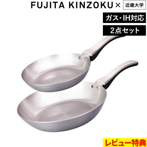 }\JÒ c y StCp F. 20cm 26cm Zbg z Gt Gthbg ߋEw R{ y y S StCp łɂ S S ⋋ IHΉ KX  { 20 26 Mtg 