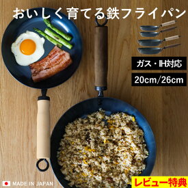 特典付き！ オリジナル【 おいしく育てる鉄フライパン 20cm 26cm 】 鉄のフライパン 鉄製 IH対応 直火対応 IH ガス 使える 鉄分 補給 引っ掛け シーズニング済み 錆びにくい 焦げ付きにくい 木製 持ち手 お弁当用 玉子焼き ステーキ 鉄鍋餃子 焼き飯 日本製 藤田金属