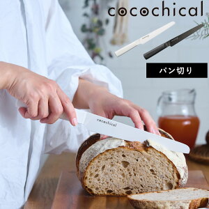 TtI cocochical y RR`JiCt 18cm p؂ z RR`J p؂  Z~bN Z~bN 18Z` p؂iCt ubhiCt { H@ zCg ub