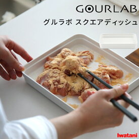 Iwatani 【 グルラボ スクエアディッシュ (単品) 】 イワタニ 電子レンジ レンジ調理 レンジ 調理 料理 クッカー スチーマー 保存容器 バット 調理器具 レシピ ヘルシー 電子レンジ対応 食洗機 簡単 時短 エコ ギフト プレゼント
