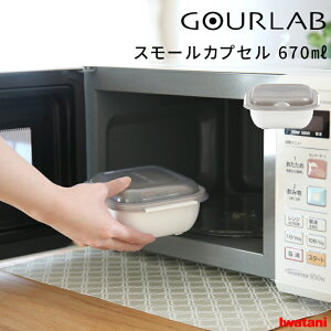 TtI Iwatani y O{ X[JvZ (Pi) z C^j dqW W W   NbJ[ X`[}[ ۑe  Vs wV[ dqWΉ H