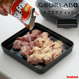 Iwatani 【 グルラボプラス スクエアディッシュ (単品) 】 イワタニ グルラボ+ 電子レンジ レンジ調理 レンジ 調理 料理 スチーマー バット 保存容器 調理器具 レシピ ヘルシー 食洗機対応 時短 エコ ブラック ギフト プレゼント