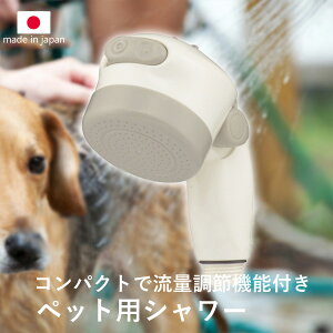 TtI y ybgpV[ z { V[wbh ʒ Ch X|bg 2iؑ ybg  L ybgPA  RpNg ₷ tȒP Mtg v[g