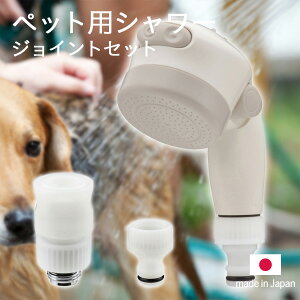 TtI y ybgpV[WCgZbg z { V[wbh ^b`E ʒ Ch X|bg 2iؑ ybg  L ybgPA  RpNg ₷ t