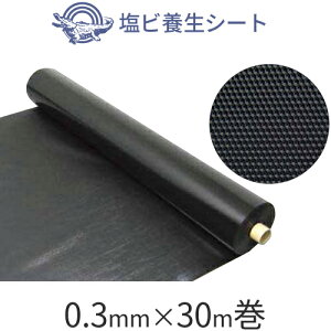 ubNtCf[ H {ށA{@ur{V[g 0.3mmv@y0.3mm×1m×30mz@ubN 1{