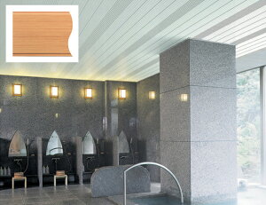 psRVEǑށ@uoXplsR200@4mv@L200mm@悢wF@tNrw y oXpl^oXu z