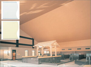 }\JÒ psRVށ@uoXplsR300-I^@1.82mv@L300mm@zCg^]EQ@tNrw y oXpl^oXu z