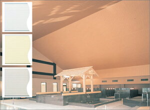 psRVށ@uoXplsR300-I^@3mv@L300mm@v[@tNrw y oXpl^oXu z