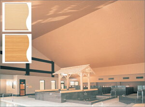 psRVށ@uoXplsR300-I^@3mv@L300mm@wF@tNrw y oXpl^oXu z