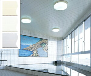 pVEǑށ@uoXplWJ@3mv@L300mm@tNrw y oXpl^oXu z