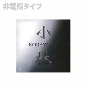 マラソン開催中 タカショー 「ディーサインメタル ベーシック」 ≪フラットタイプ 200×200mm≫ お好みの表札に♪ 外壁/ネームプレート/De-sign 【非電照タイプ】