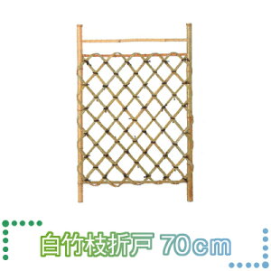 }\JÒ ^JV[@VR|@}܌ˁ@u|}܌ˁ@70cmv@@700×1050mm y 1 z