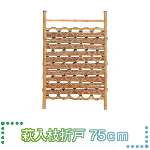 }\JÒ ^JV[@VR|EVR@}܌ˁ@u}܌ˁ@75cmv@@750×1050mm y 1 z