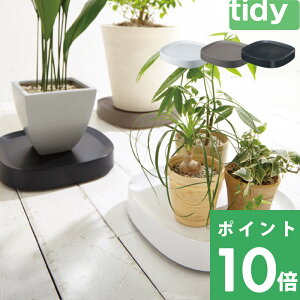 TtI tidy eBfB eg y Plantable z ubN uE zCg v^u LX^[t   M 󂯎M M gC g[ LX^[tM A ϗt