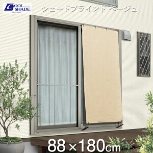 ^JV[@N[VF[h@wVF[huCh@x[Wx@88×180cm@m 悯EڂEՌEOJbg