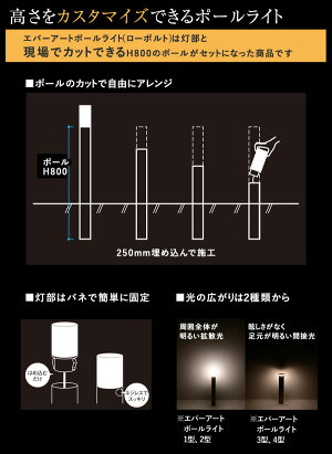 楽天市場 タカショー ガーデンライト エバーアート ポールライト 1型 Led1w 電球色 照明 屋外 ライティング エコ 節電 省エネ 高さ 調整 調節 ローボルトライト 12v くらしのもり