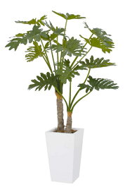 タカショー　グリーンデコ鉢付　観葉植物「セローム　2本立」1.4m
