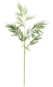 ^JV[@O[fR @u͌i炴j 1.2mv@{̂̂݁@lHA