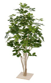タカショー　グリーンデコ 観葉植物　「シェフレラ板付 1.3m」　板付　＜人工植物＞