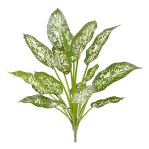 ^JV[@O[fR @ufBtFoLAv 60cm@lHA