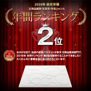 【着後レビューでSOILソイルコースター他選べる特典】珪藻土バスマットUB足快バスマット【日本製】母の日父の日誕生日結婚祝い内祝等プレゼントギフトにバスマット珪藻土マット足ふき珪藻土lサイズ宇部UBE速乾吸水送料無料