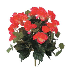 ^JV[@auxSjA@bhvW25cm