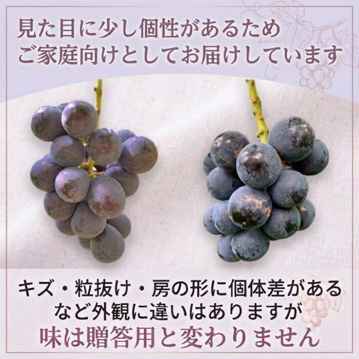 楽天市場】【ご家庭用】ナガノパープル 4kg 信州長野県産 産地直送 